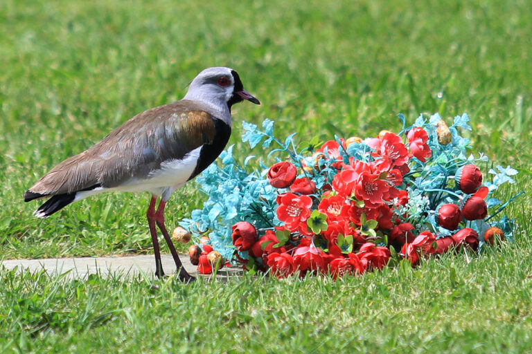 Ruta por los lugares de memoria