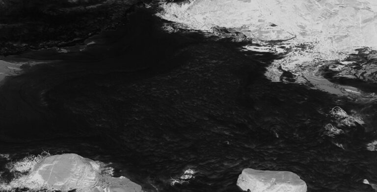 «Estamos aquí» de Claudia Aravena – hasta el 30.09