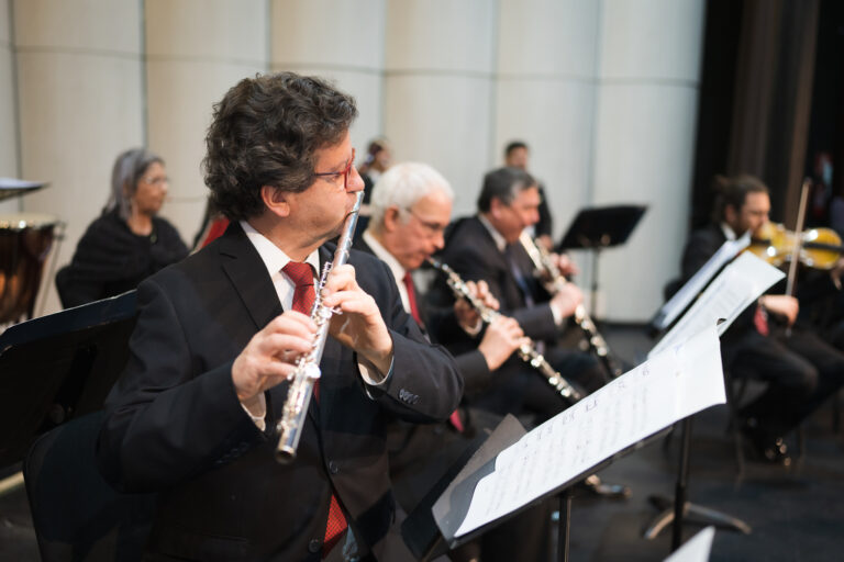Concierto de la Orquesta de cámara de Chile en Ñuñoa
