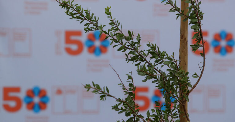 MEMORIAS DE REPARACIÓN: INSTALACIÓN DE MONOLITO Y PLACA EN MEMORIA DE LOS DD.DD DEL CASO COYHAIQUE