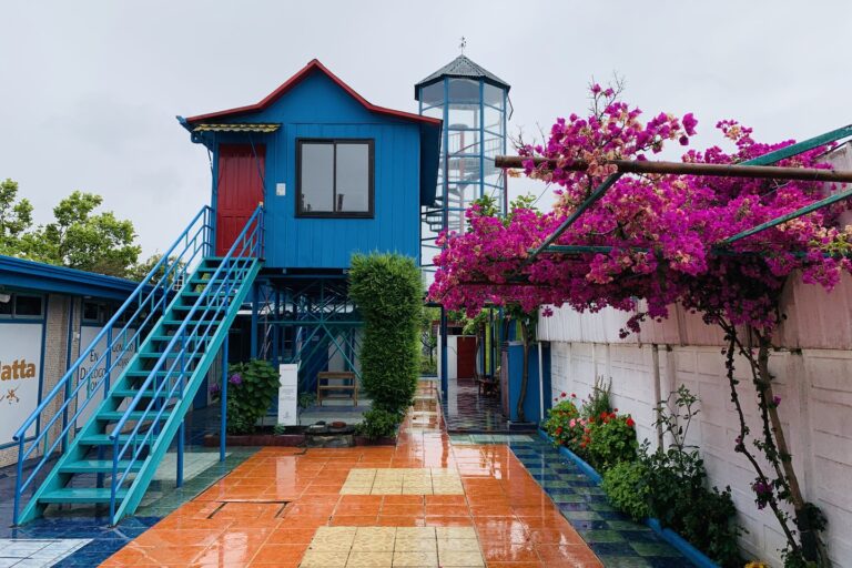 Tarde Cultural” Renacer/PRAIS – ñuble