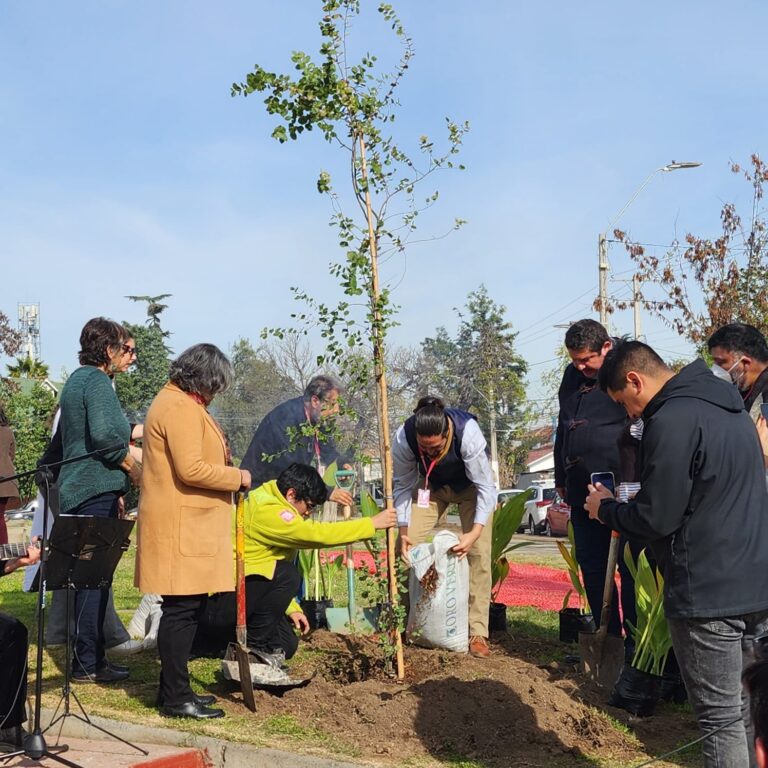 Árboles por la Memoria: Plantan quillay frente a ex centro de tortura en memoria de víctimas
