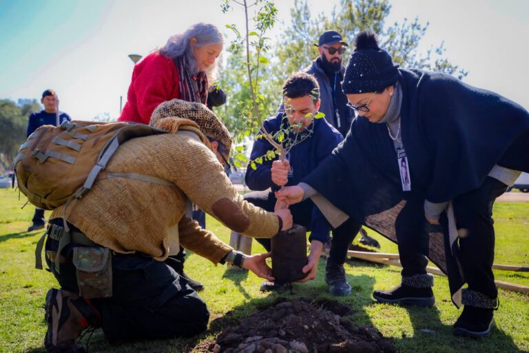 «Árboles por la memoria»: Municipio de Maipú realiza primer acto conmemorativo por los 50 años del Golpe