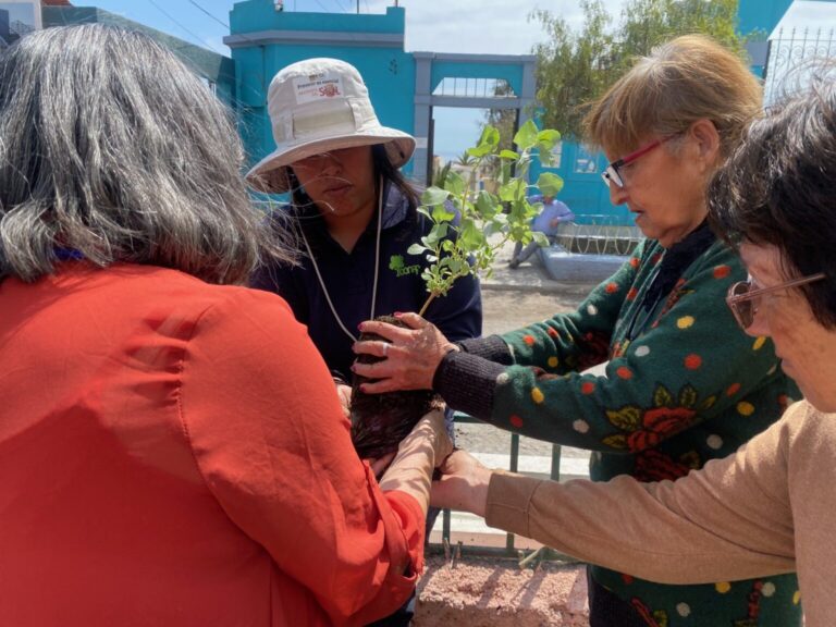 Plantan especies árboreas en Tocopilla mediante iniciativa “Árboles por la Memoria”
