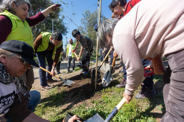 Plantan 72 Árboles por la memoria en Renca