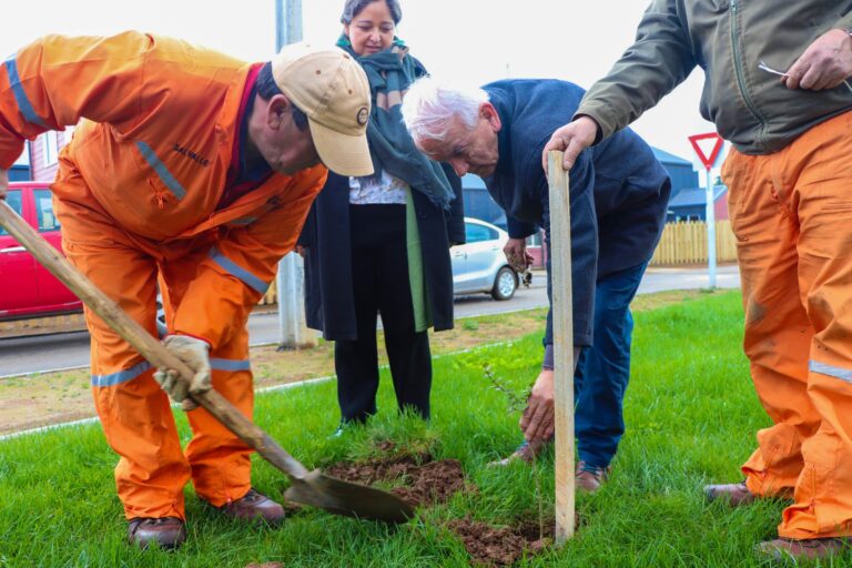 Yungay planta árboles por la memoria en tres villas de la ciudad