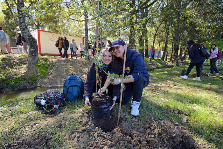 Comunidad UBB participa en Plantación de la Memoria