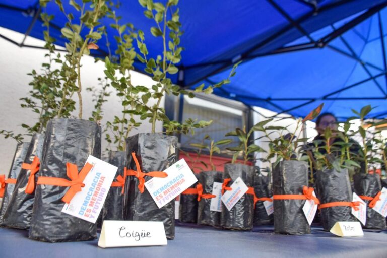 Árboles por la memoria: Realizan primer acto conmemorativo en Puerto Williams enmarcado en los 50 años del Golpe de Estado